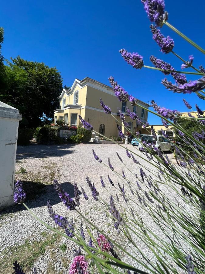 Large Three Bed Two Bathroom Flat In Central Torquay Exterior photo